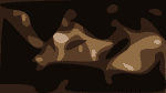 Geese