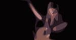 willie-nelson-live-press-2023