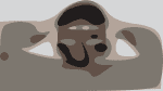KANKAN