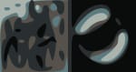 Phish Sphere Newsletter
