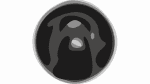 Bear Music Fest
