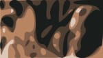 Rising Appalachia