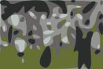 Blue Ox Family