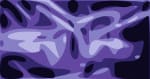 Phish GR 2024 N1 Fox 010
