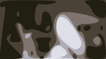 Mold and Small Animal Hospital
