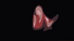 Taylor Swift & Sabrina CARPENTER Eras Tour New Orleans N2 "Surprise Song" #espresso