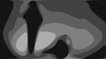 Twin Noir