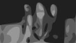 Ebony Tusks