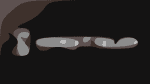 Shotgun