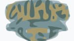 Bluegrass Island Music Festival