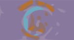 Goose Luna Luna Everything Must Go Experience