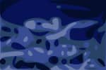 Phish Seattle 2025 West Fishman Fullsize 001