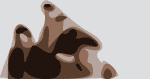 Buy Beach Fossils Tickets