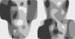 Buy Grizzly Bear Tickets