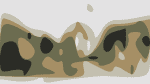 Mokoomba