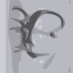 touch