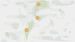 Levontin 7