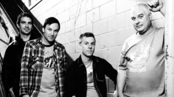 Toadies
