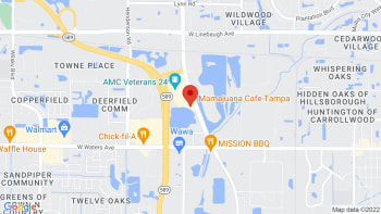 Mamajuana Cafe Tampa Events Calendar Schedule 2023 Tampa FL