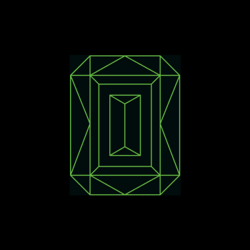 Vide Noir Cover