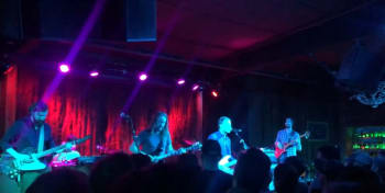 Dawes Stu Allen Shakedown street