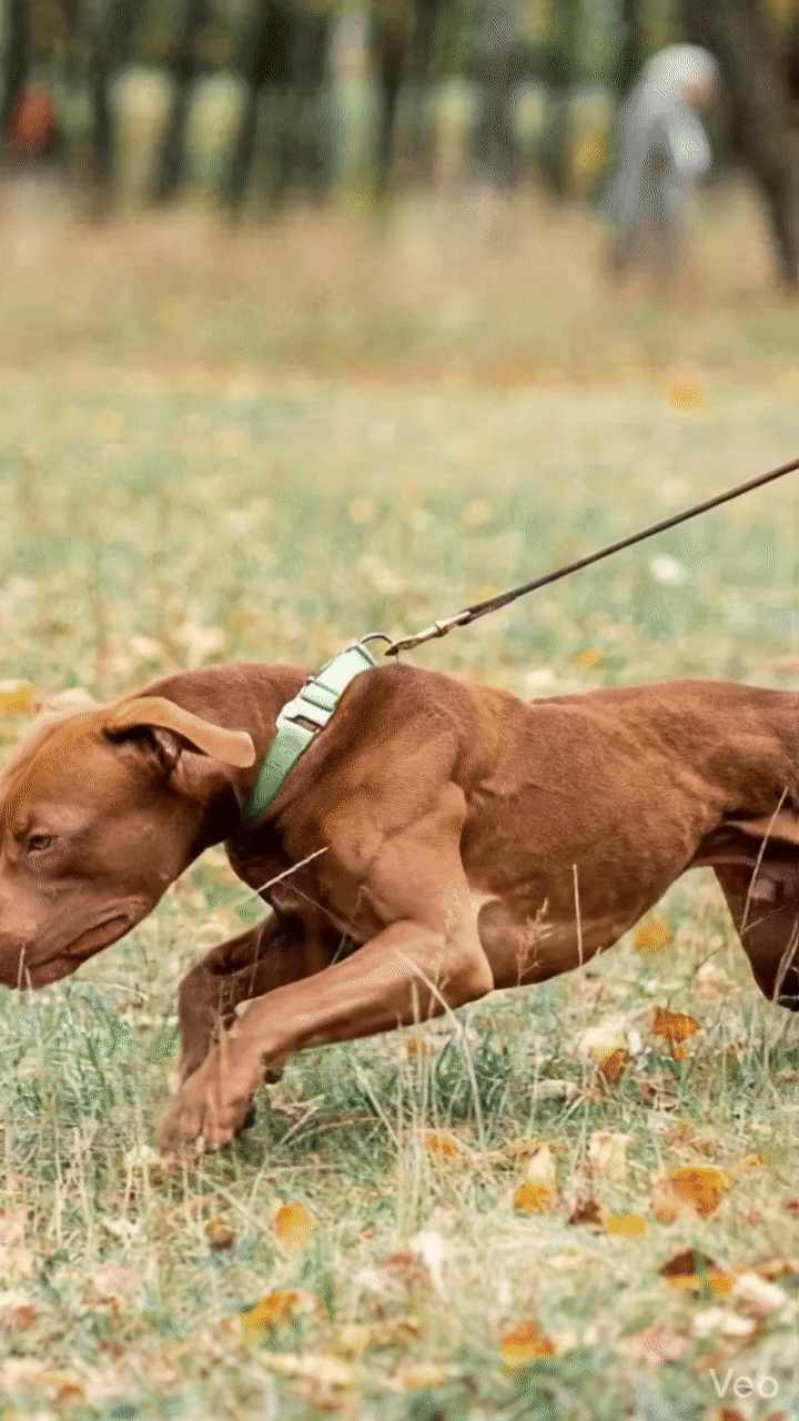 Glower Up kit en uso