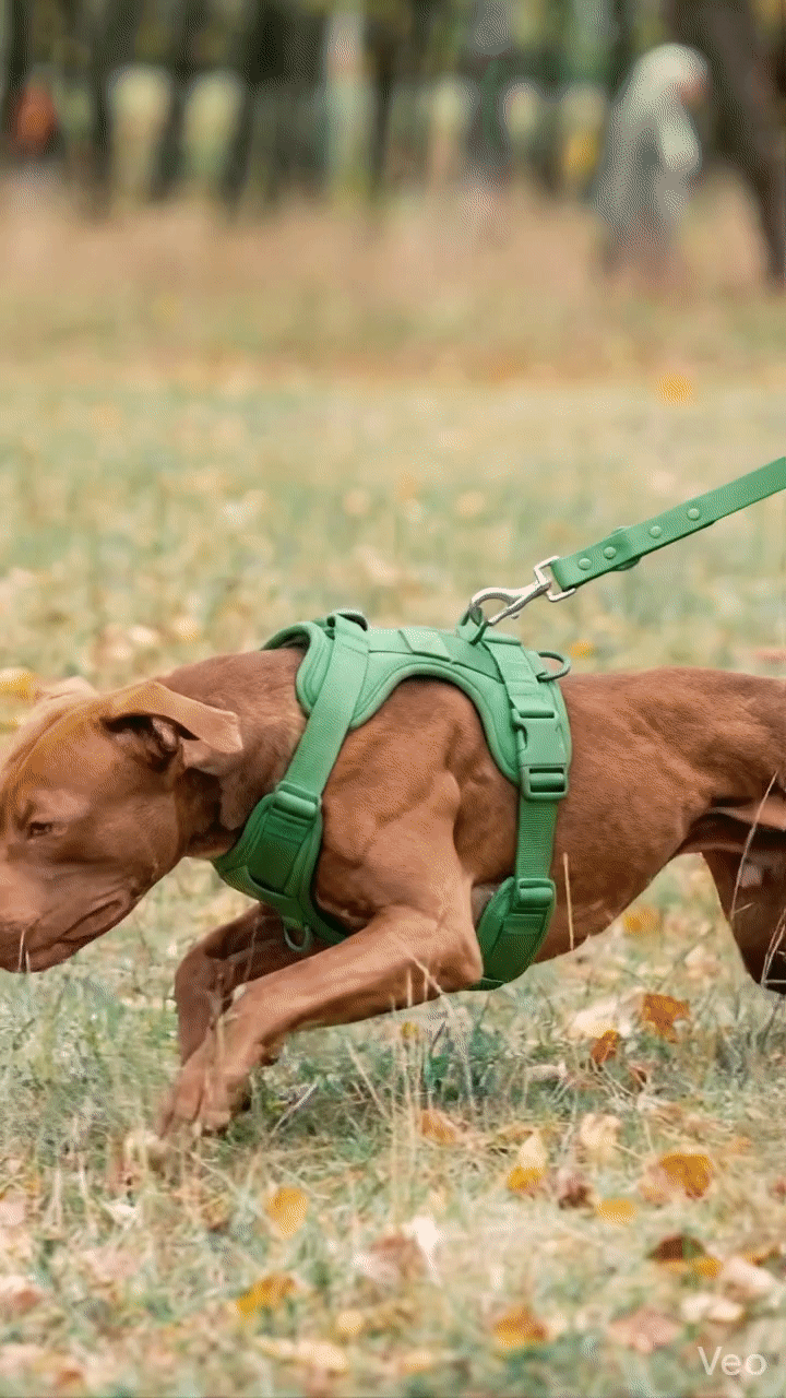 Glower Up kit en uso