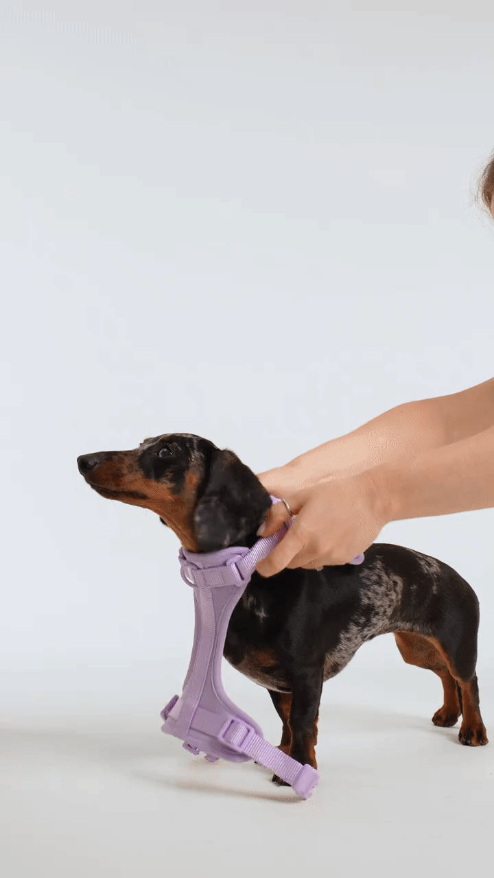 Glower Up kit en uso