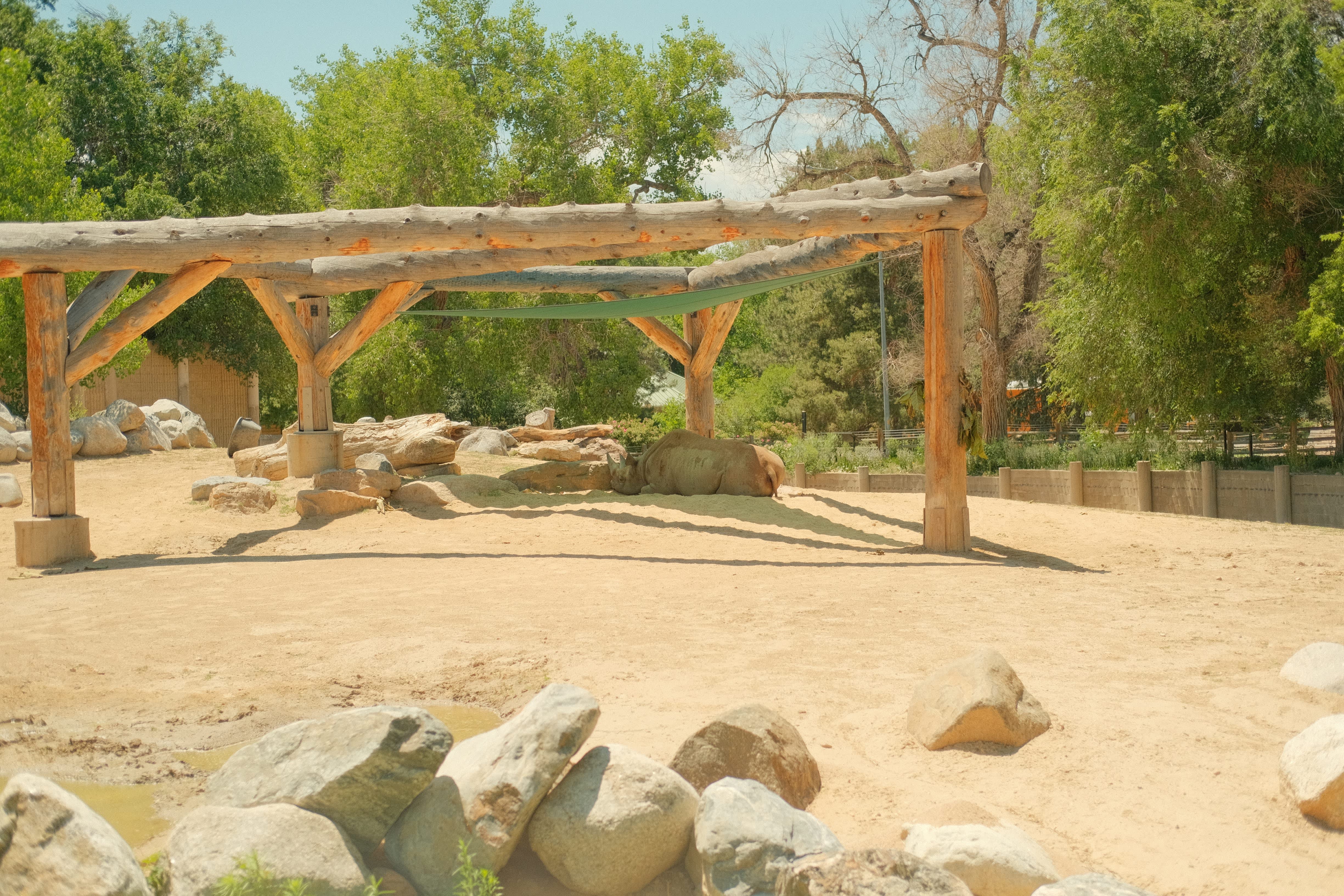 A wooden pergola structure stands in the foreground, surrounded by a sandy landscape with large rocks and lush greenery with a rhino sitting in the shade in the background.
