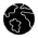 Global Network Global Network