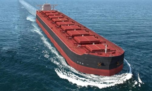 what is bulk carrier cargo ship?