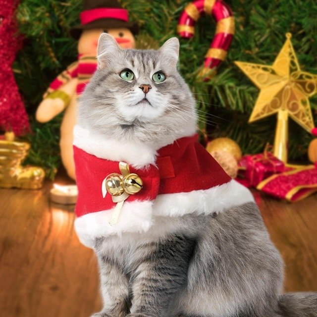 8 Real Genius Ways of Protecting Your Christmas Trees - PawsLab