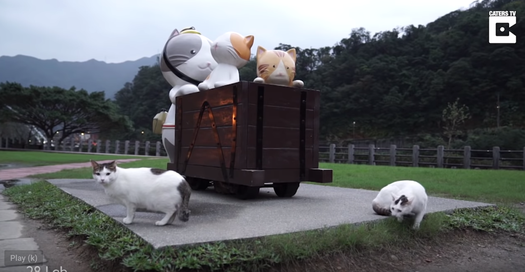 Taiwan’s Cat Village A Popular Tourist Spot