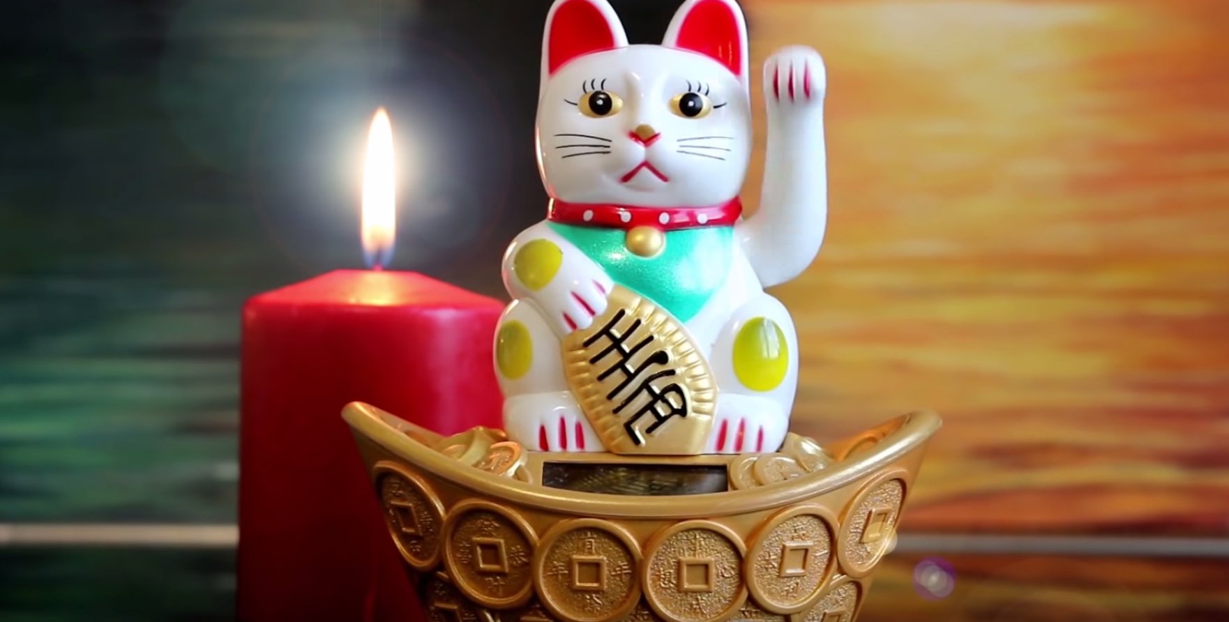 Cats Protect You and Your Home Against Negative Energy Myth or Reality