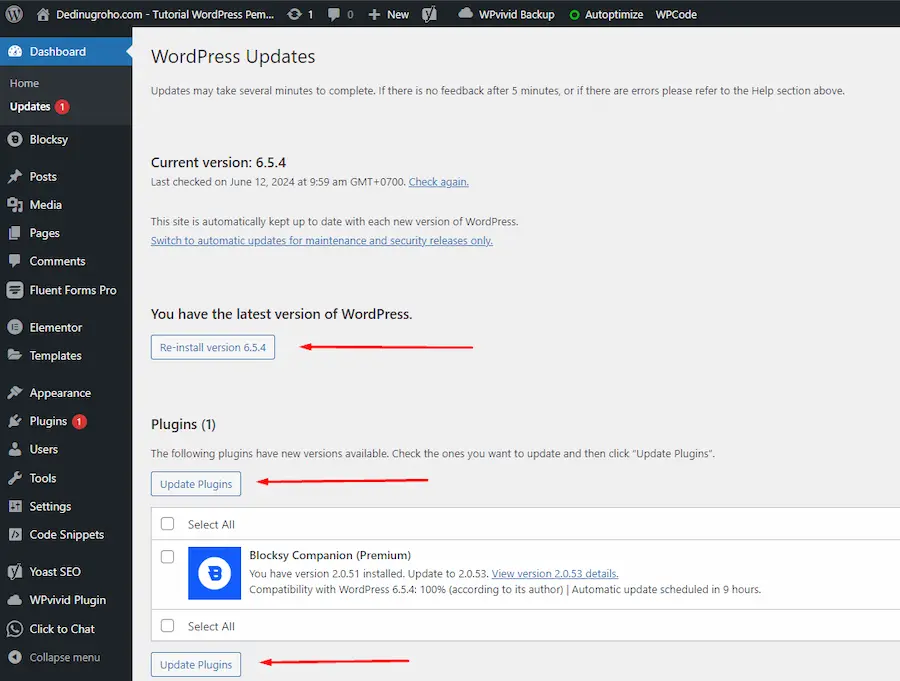 failed auto upgrade wordpress dedinugroho