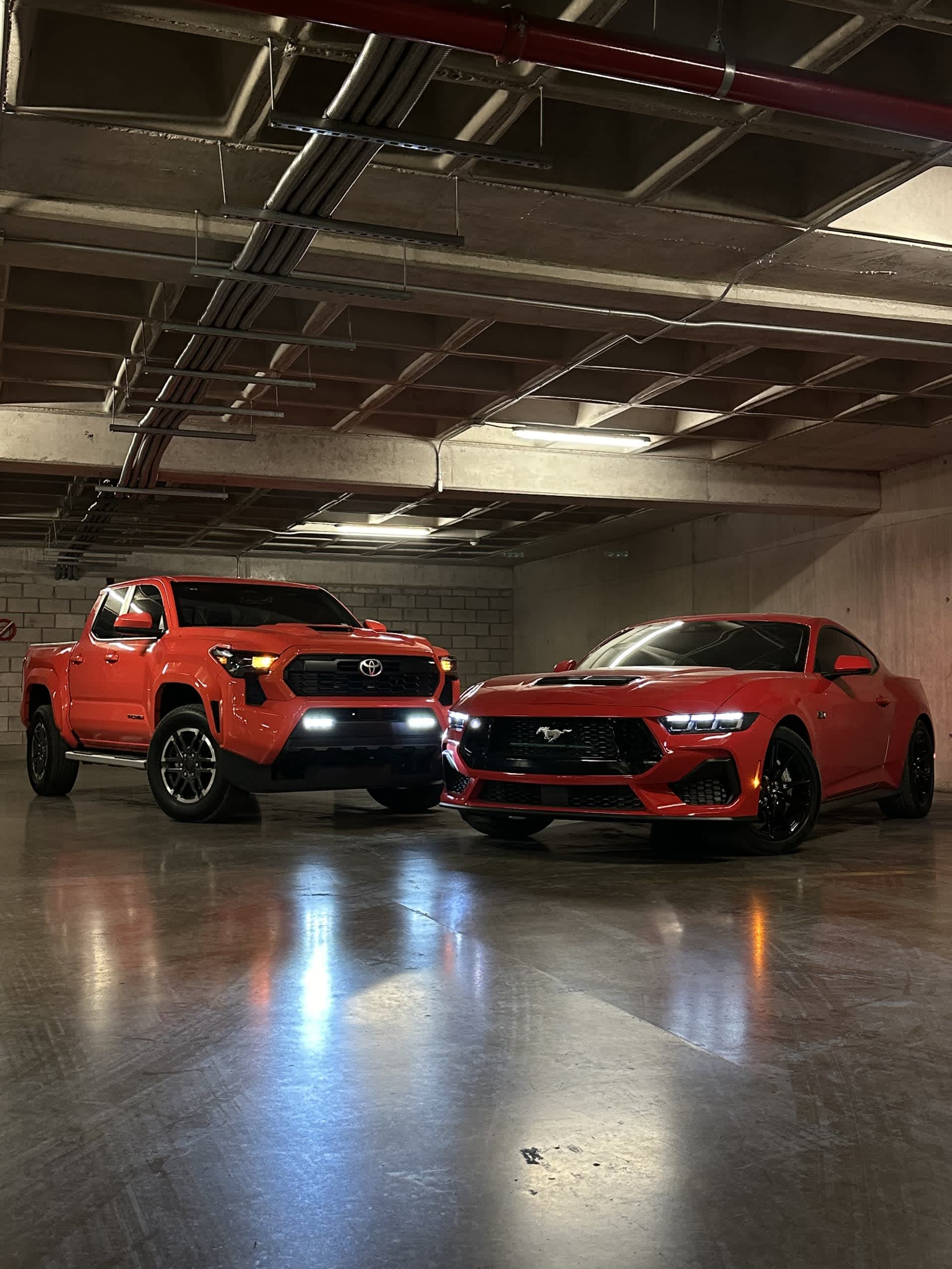 COMBO HALLOWEEN 🎃_0