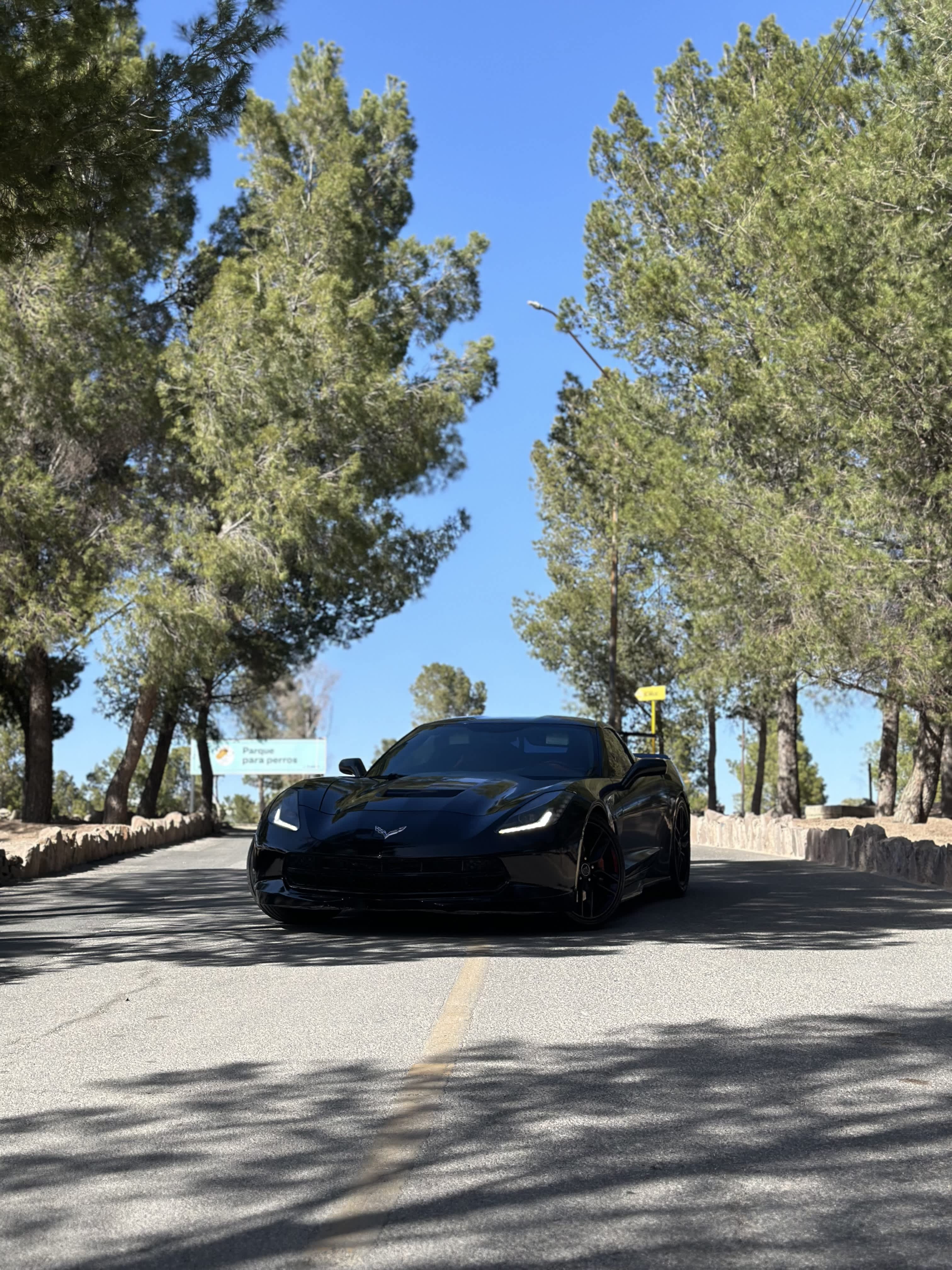 CORVETTE 2018 🔥 1