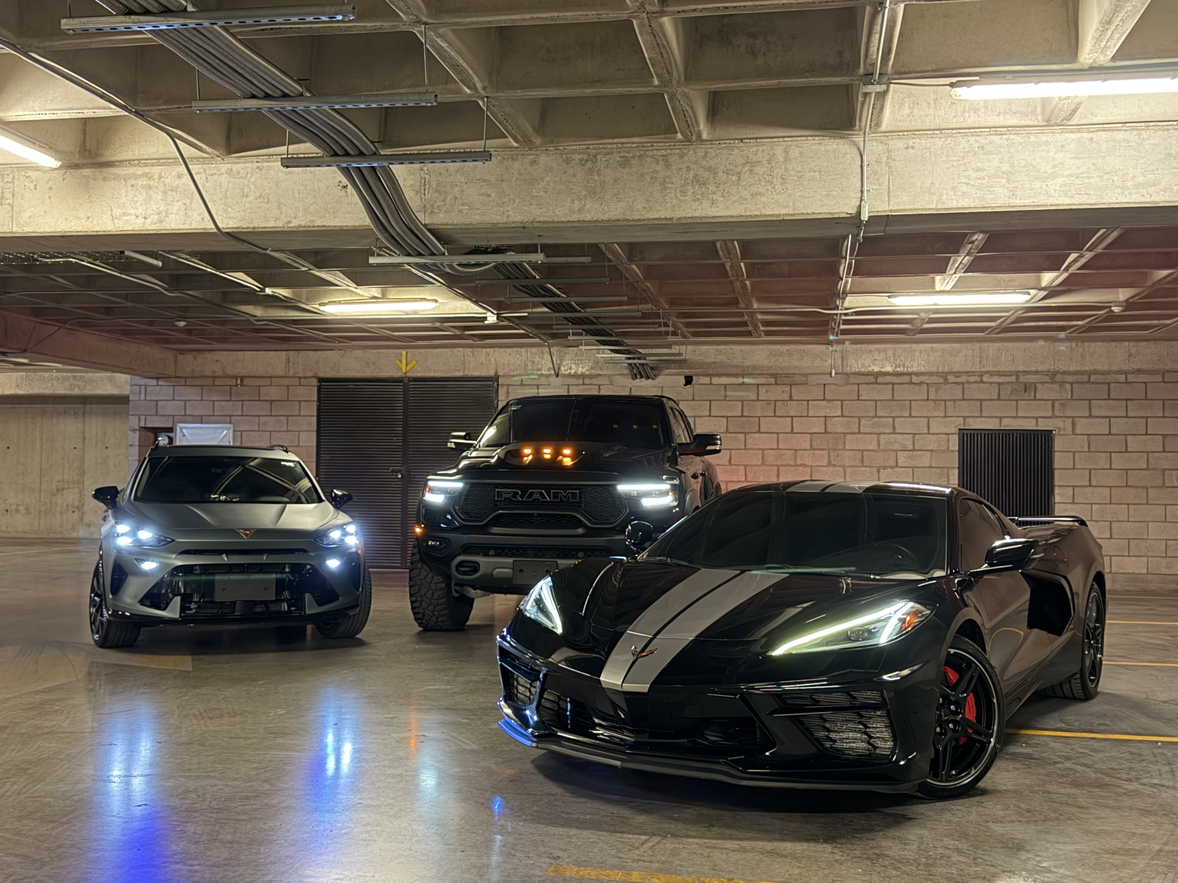 TERCIA DE REYES! 👑