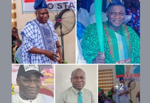 Oyo 2027: Strategy, Vision and Electability — Why Dr. Adewale Kolapo Kareem (AKK) Emerges as APC’s Most Compelling Governorship Prospect.