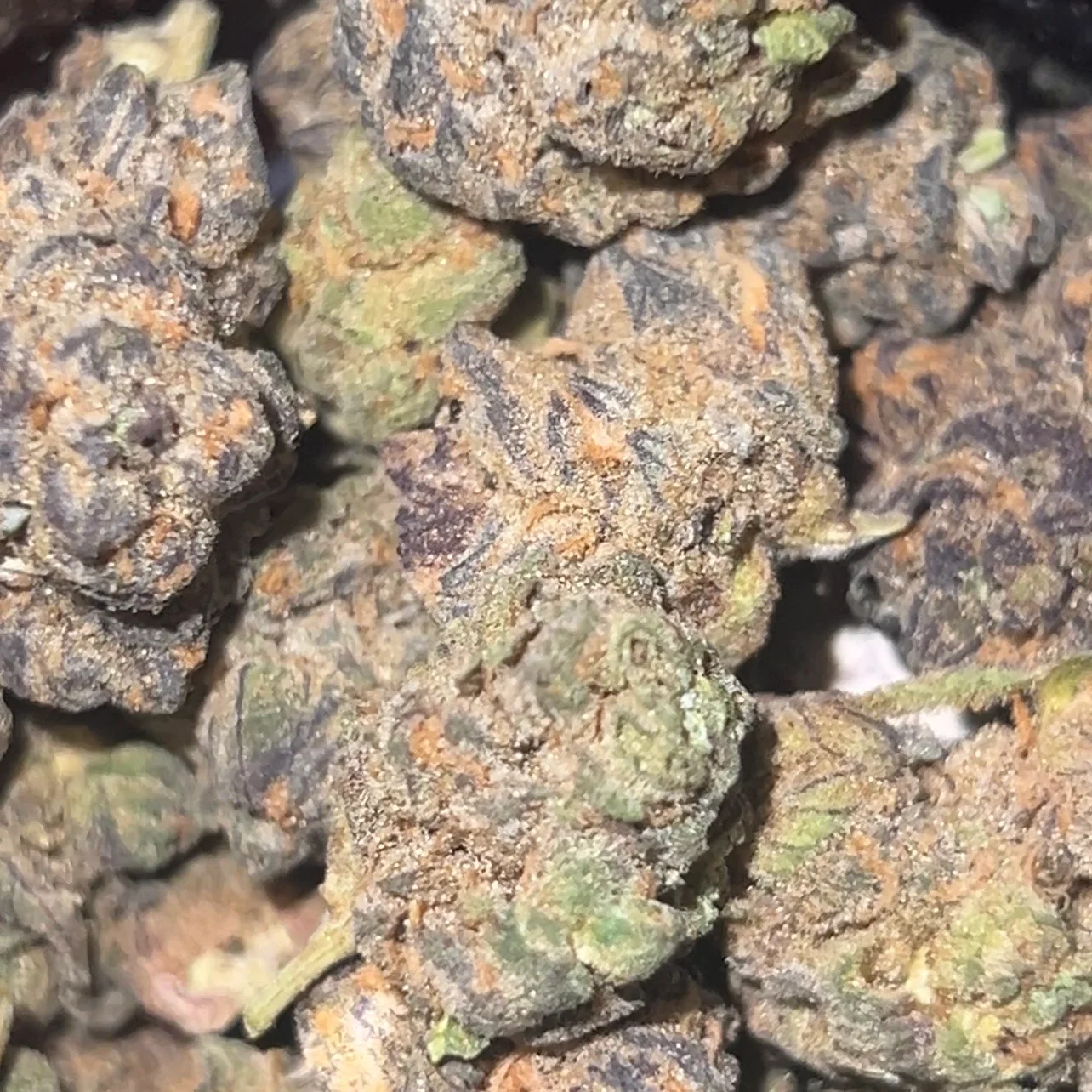 Purple Moon