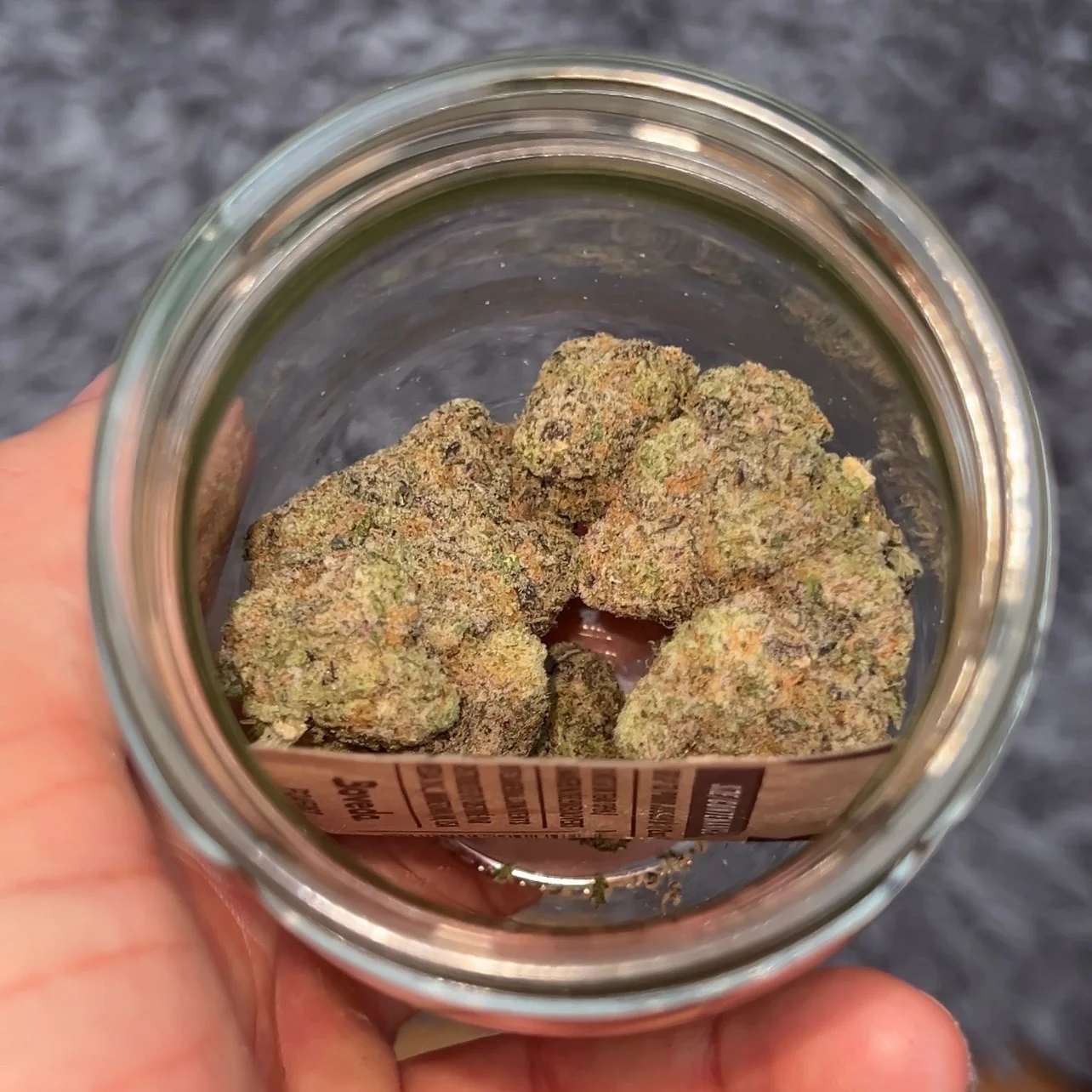 Miracle Alien Cookies (MAC)