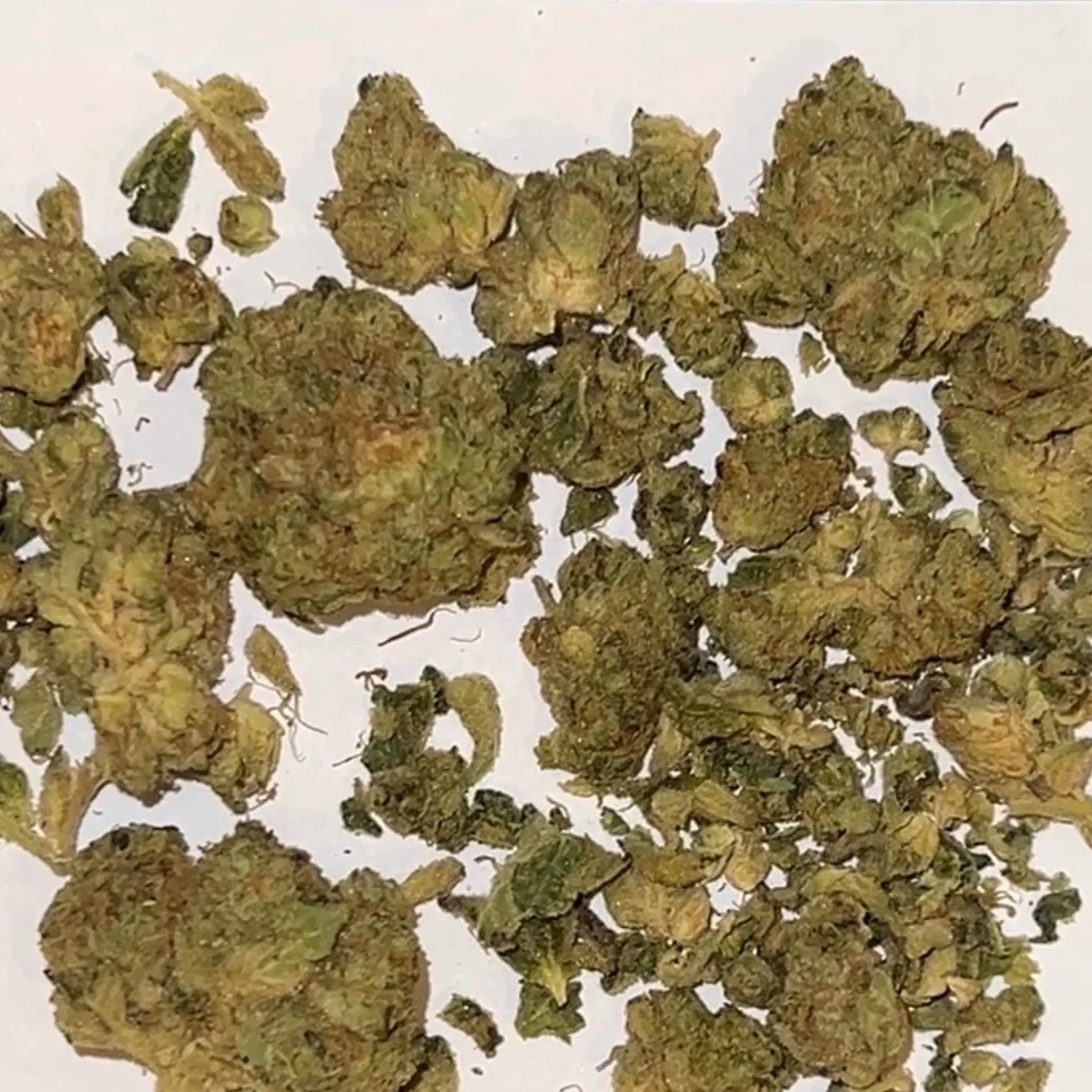Triangle Mints