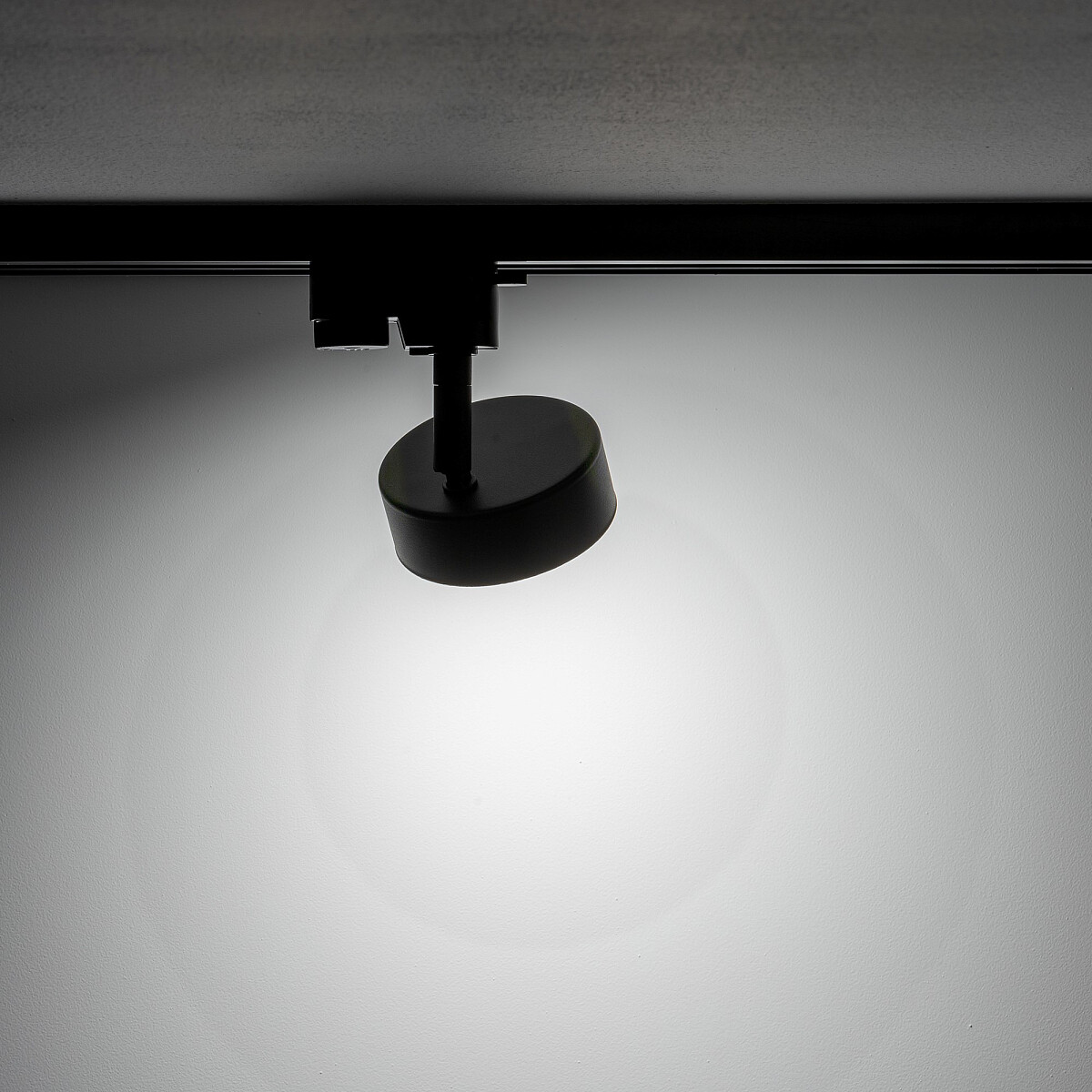 PROFILE PUCK Detail 3