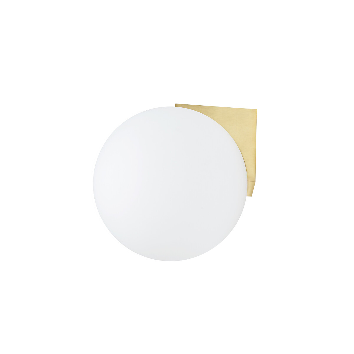 SCONCE ALOE Detail 5