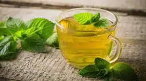 Hortelã-pimenta – benefícios medicinais
