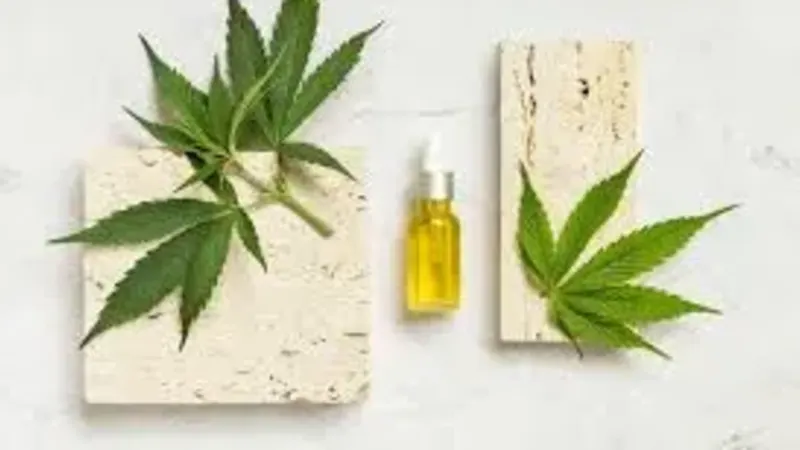 Cannabis – folhas e flores características