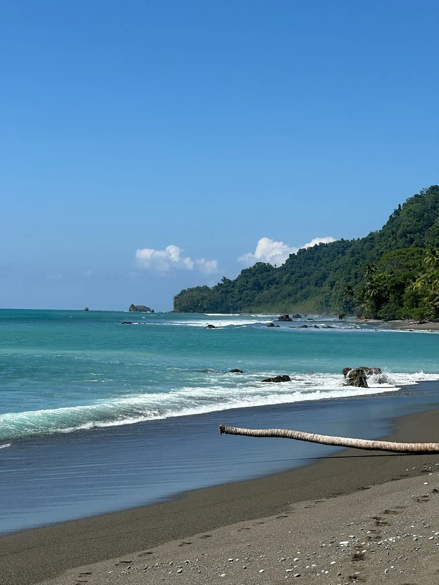 Leona – Sirena overnight Tour Long Hike 2 days / 1 night