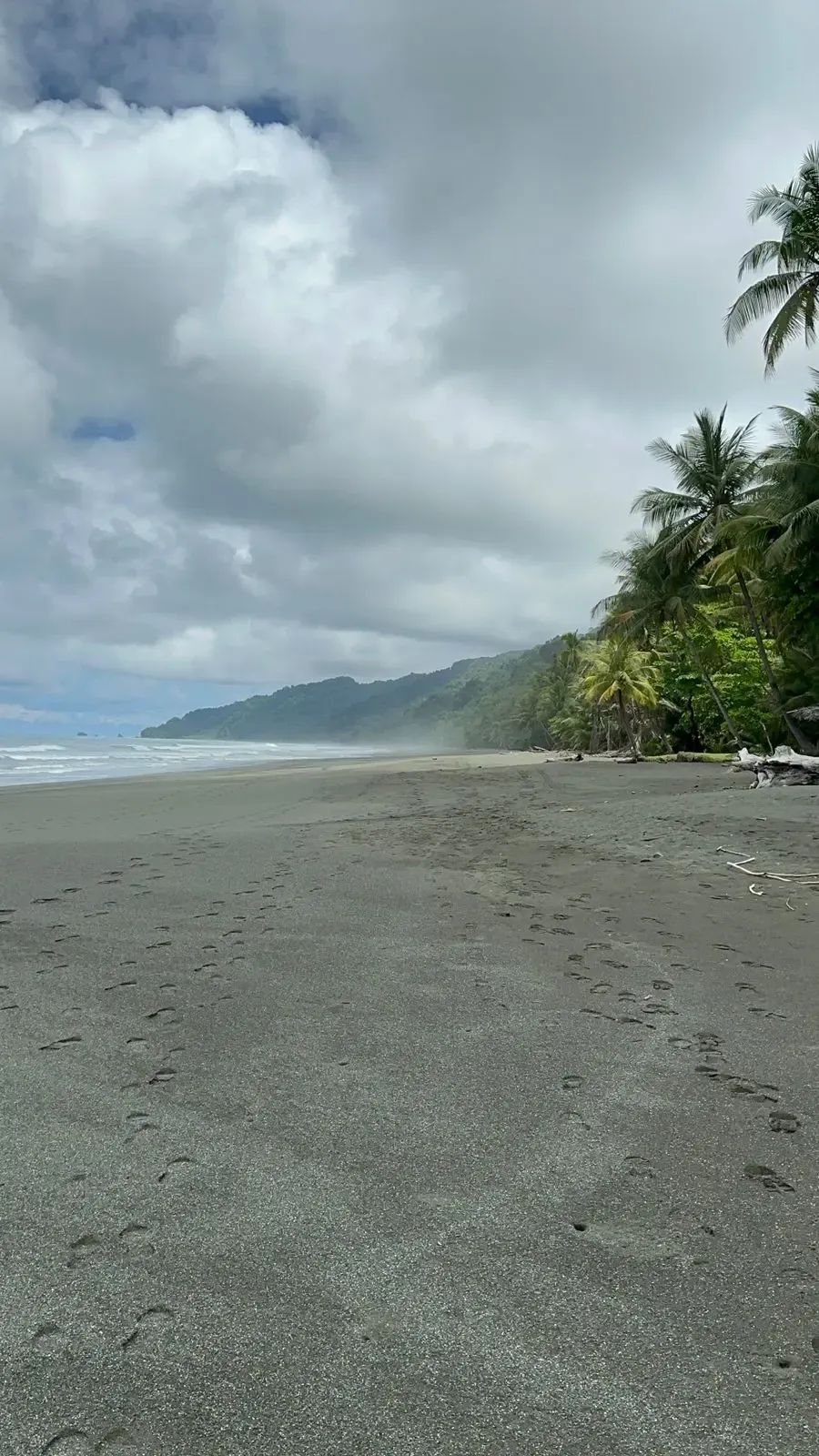 Corcovado One-Day Tour – Exploration: Boat In & Hike Out