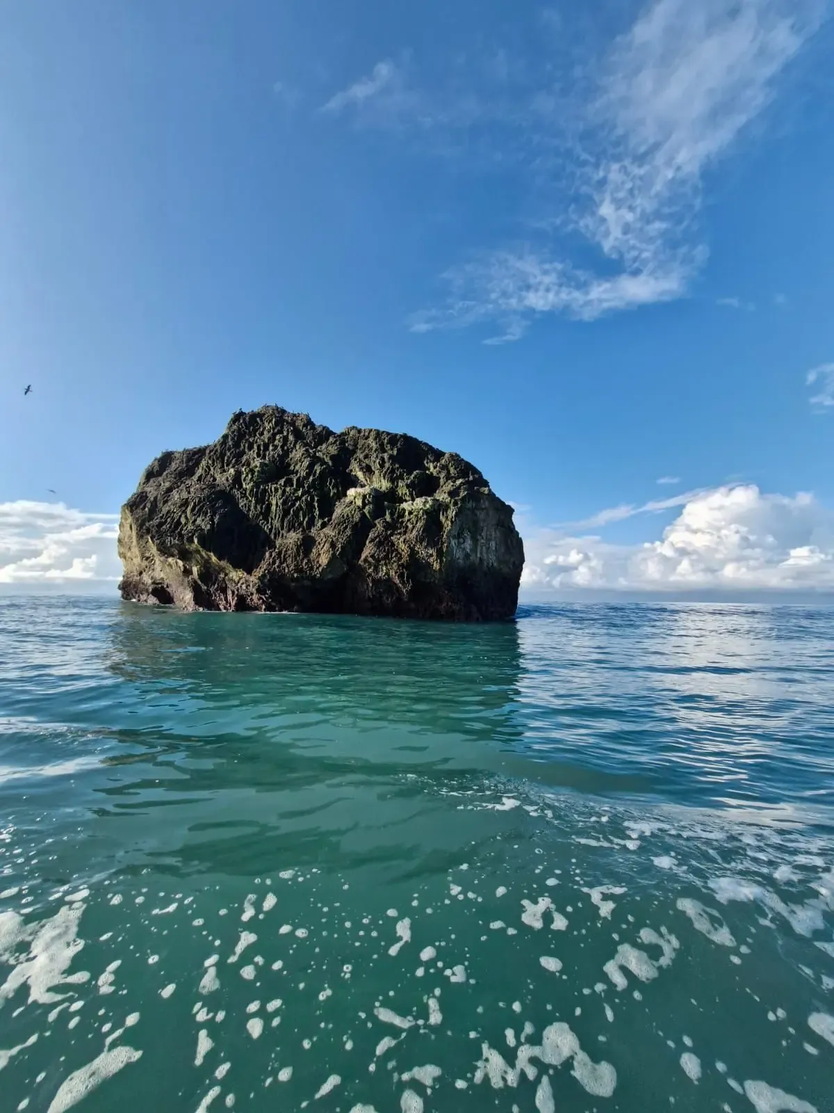Corcovado One-Day Tour – Exploration: Boat In & Hike Out