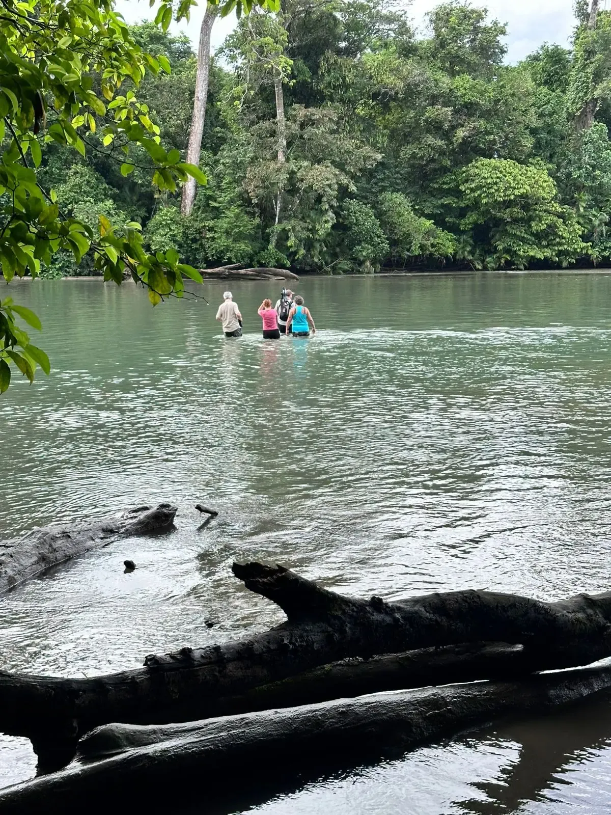 Corcovado One-Day Tour – Exploration: Boat In & Hike Out